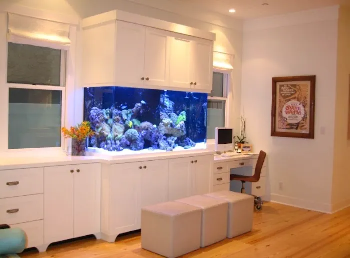 Underwater Oasis - Aquarium Rescue Picture 1