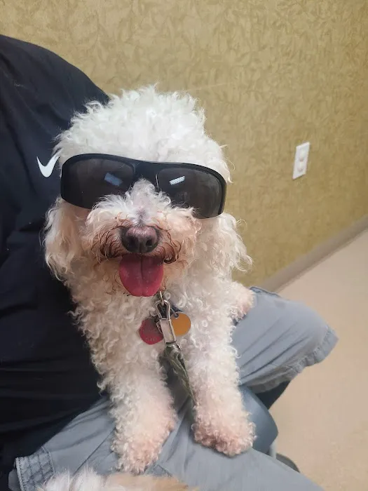 Jeffersonville Animal Hospital Picture 7