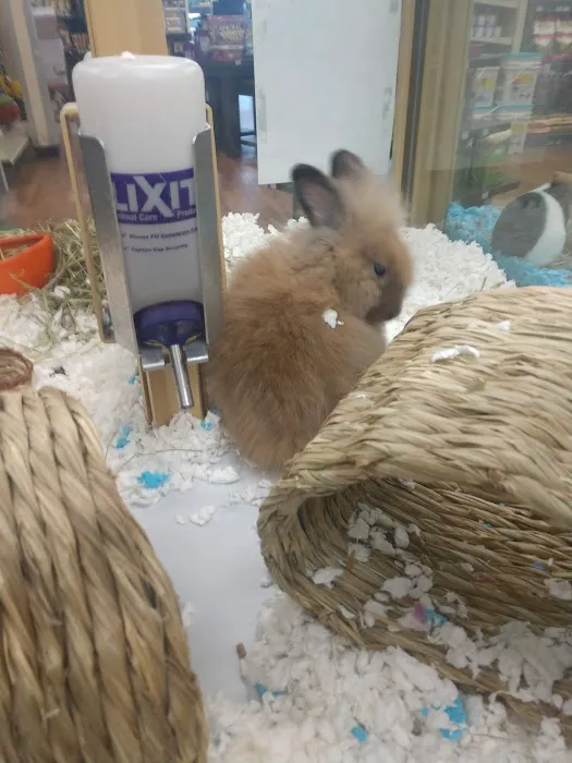 Pet Supermarket Picture 1