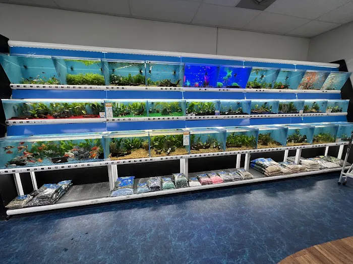 Pet Supermarket Picture 2
