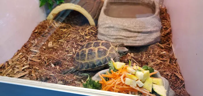 Pet Supermarket Picture 4