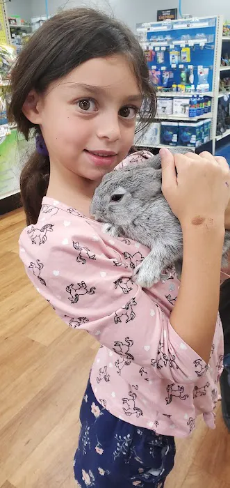 Pet Supermarket Picture 7