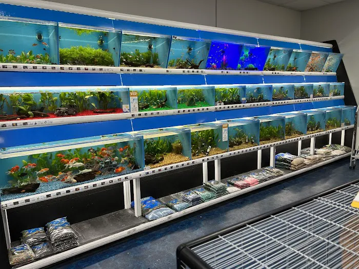 Pet Supermarket Picture 6