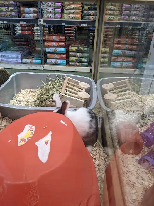 Pet Supermarket Picture 5