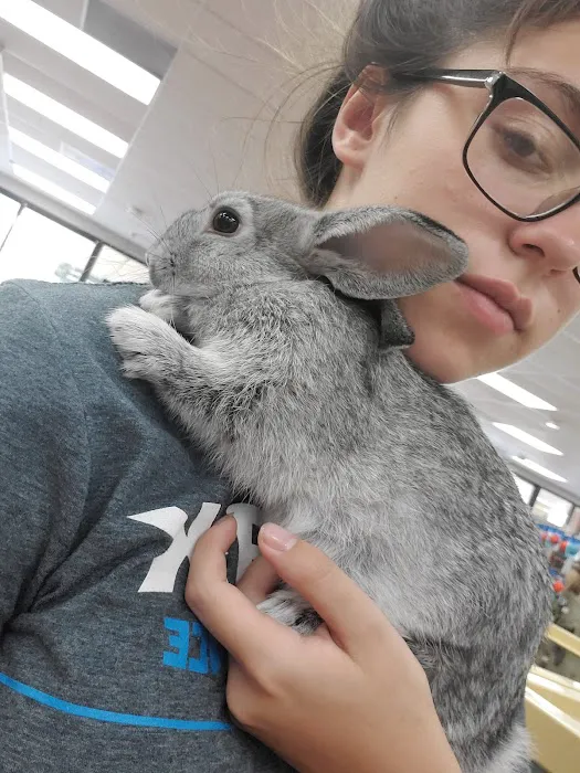 Pet Supermarket Picture 9