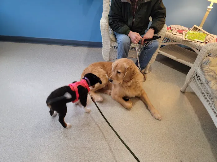 Youngsville Veterinary Clinic Picture 1