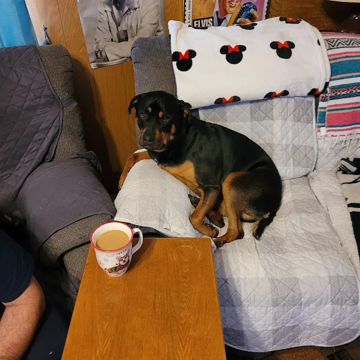 Youngsville Veterinary Clinic Picture 7
