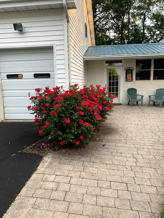 Animal Hospital of Sullivan County Picture 3