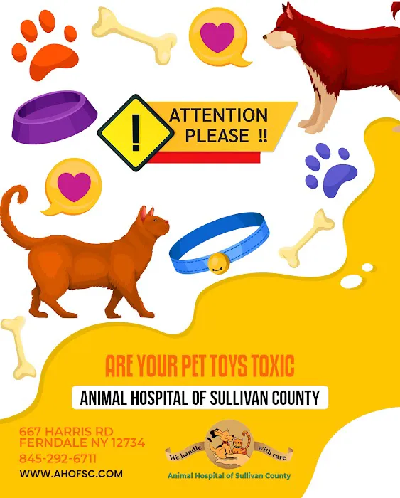 Animal Hospital of Sullivan County Picture 5