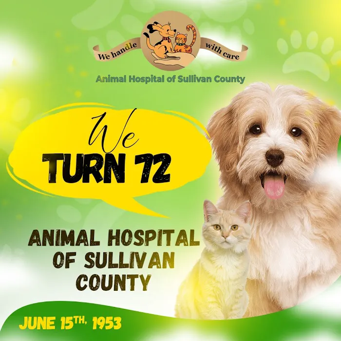 Animal Hospital of Sullivan County Picture 9