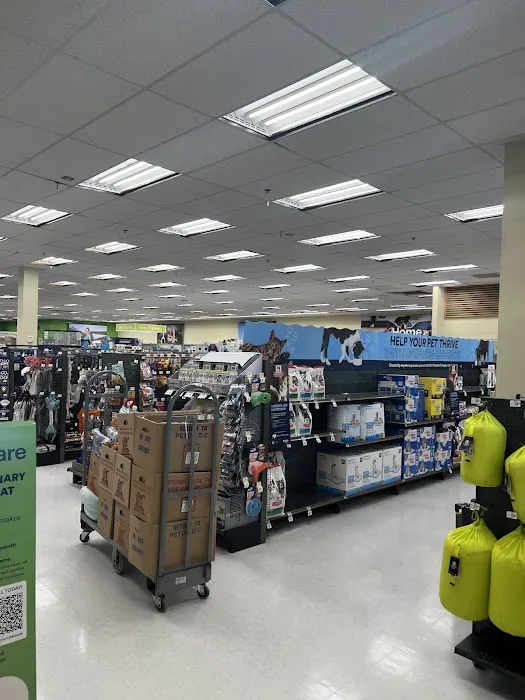 Petco Picture 3