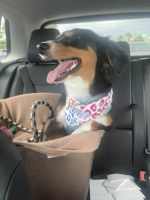 Petco Picture 8