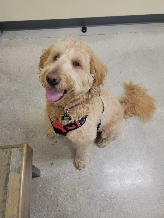 Petco Picture 9
