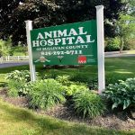 Animal Hospital of Sullivan County