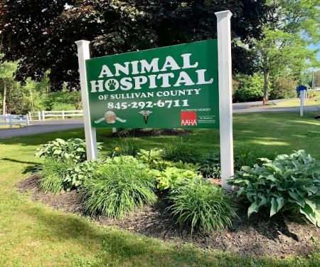 Animal Hospital of Sullivan County