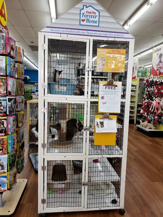 Pet Supermarket Picture 7