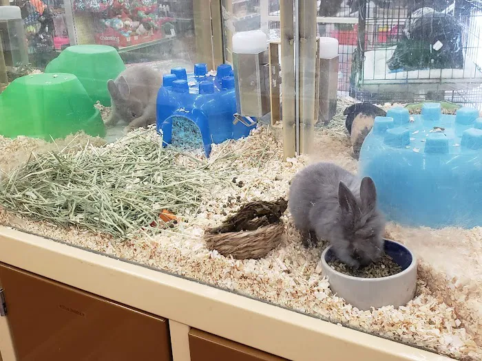 Pet Supermarket Picture 9