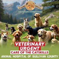 Catskill Urgent Veterinary Care ico