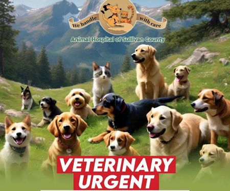 Catskill Urgent Veterinary Care
