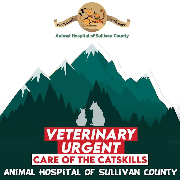 Catskill Urgent Veterinary Care Picture 3
