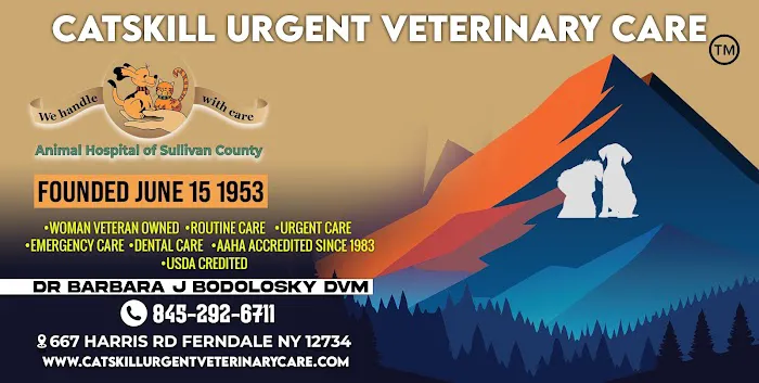 Catskill Urgent Veterinary Care Picture 5