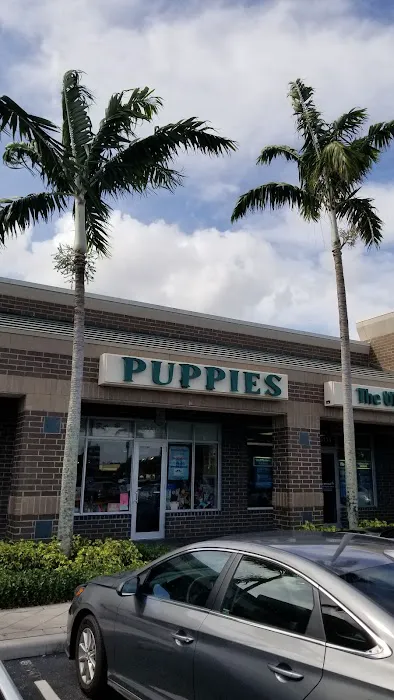 Palm Beach Puppies Picture 1