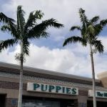 Palm Beach Puppies