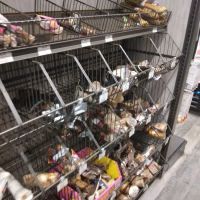 Pet Supermarket ico