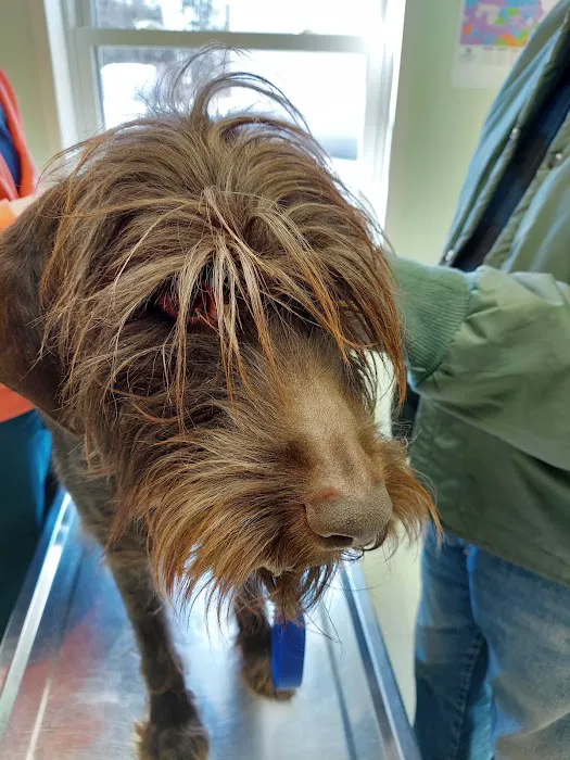 Acre Lake Veterinary Hospital Picture 7