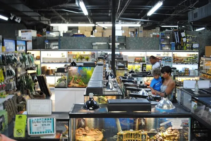 Underground Reptiles (Retail Store) Picture 1
