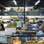 Underground Reptiles (Retail Store)