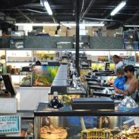 Underground Reptiles (Retail Store) ico