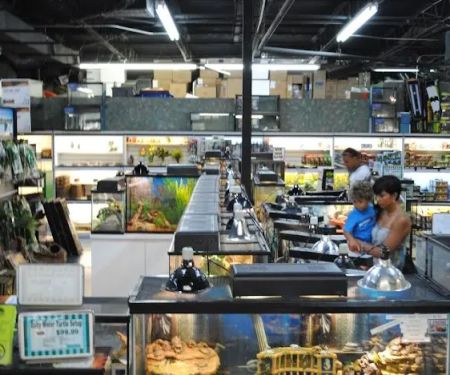Underground Reptiles (Retail Store)