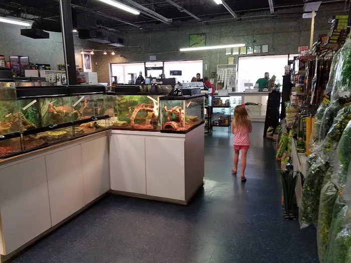Underground Reptiles (Retail Store) Picture 2