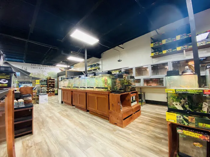 Underground Reptiles (Retail Store) Picture 4