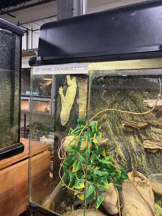 Underground Reptiles (Retail Store) Picture 5