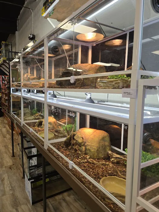 Underground Reptiles (Retail Store) Picture 6