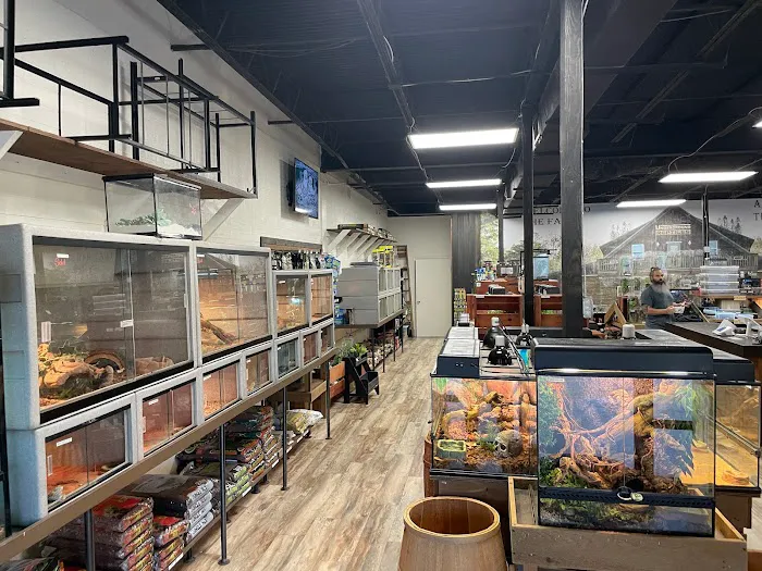 Underground Reptiles (Retail Store) Picture 9