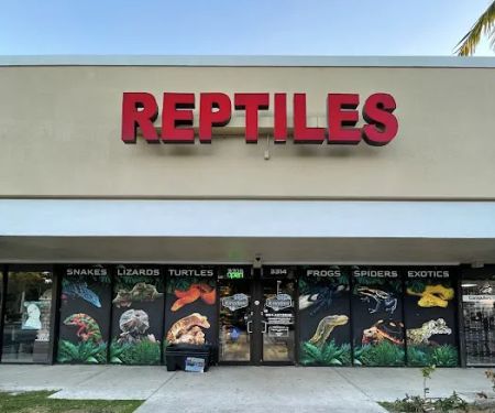 Cold Blooded Kingdom