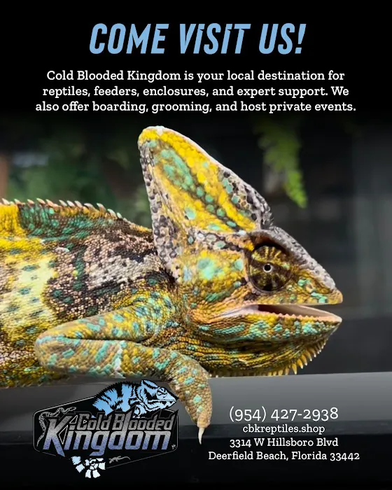 Cold Blooded Kingdom Picture 8