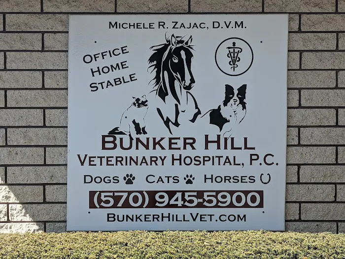 Bunker Hill Veterinary Hospital, PC Picture 5