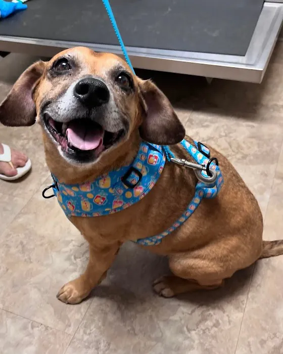 Bunker Hill Veterinary Hospital, PC Picture 8