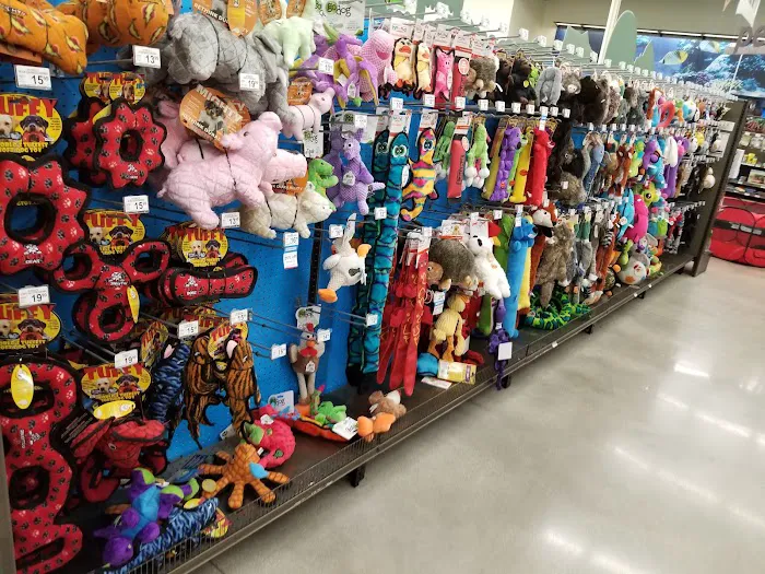 Petco Picture 4