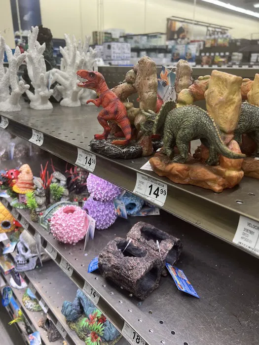 Petco Picture 5