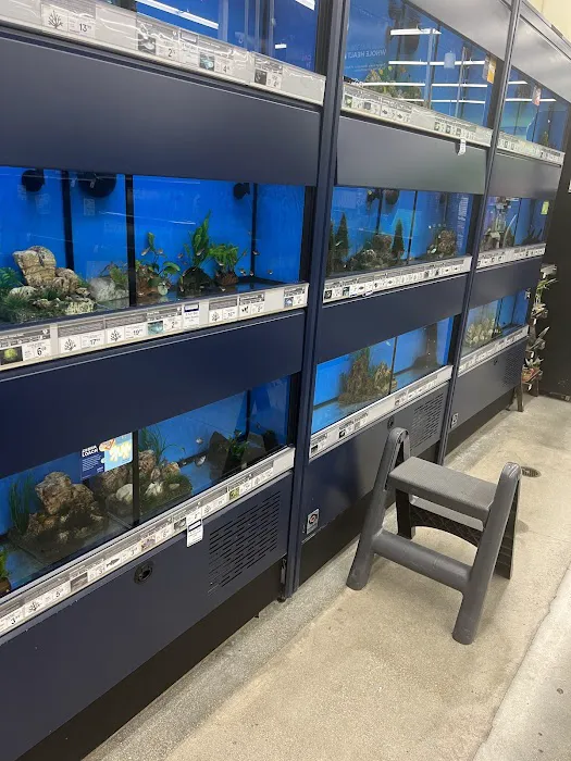 Petco Picture 9