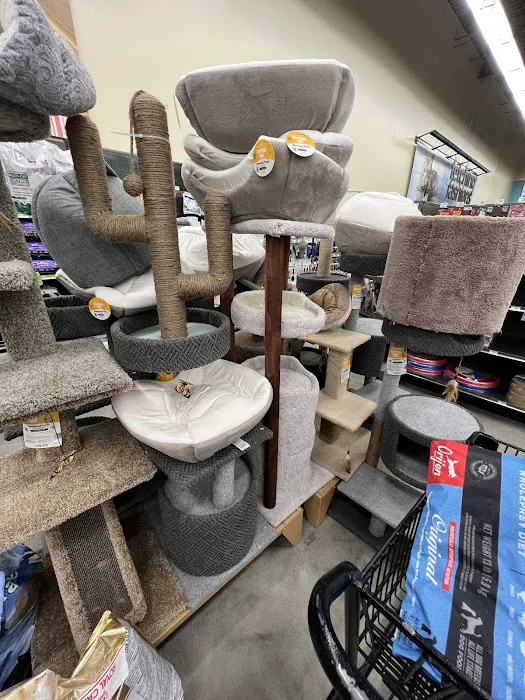 Petco Picture 8