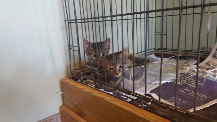 Suffern Animal Hospital Picture 3