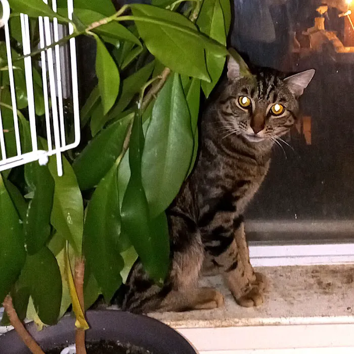 Suffern Animal Hospital Picture 7
