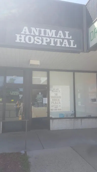 Airmont Animal Hospital Picture 6