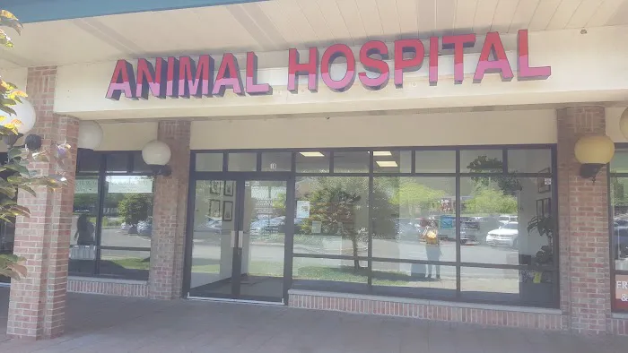Airmont Animal Hospital Picture 7